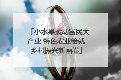 小水果撬动富民大产业 特色农业绘就乡村振兴新画卷