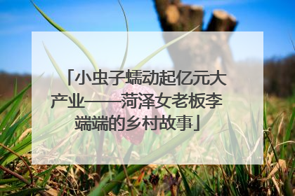 小虫子蠕动起亿元大产业——菏泽女老板李端端的乡村故事