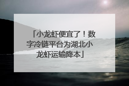 小龙虾便宜了！数字冷链平台为湖北小龙虾运输降本