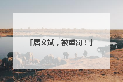 屠文斌，被重罚！