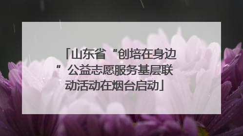 山东省“创培在身边”公益志愿服务基层联动活动在烟台启动