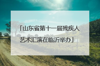 山东省第十一届残疾人艺术汇演在临沂举办