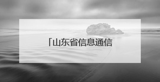山东省信息通信行业低空经济发展大会在日照召开