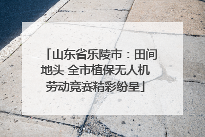 山东省乐陵市：田间地头 全市植保无人机劳动竞赛精彩纷呈