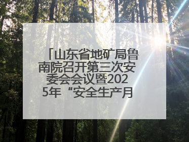 山东省地矿局鲁南院召开第三次安委会会议暨2025年“安全生产月”活动启动仪式