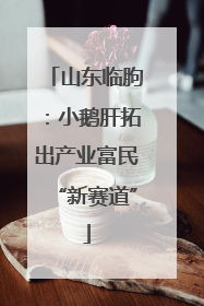 山东临朐：小鹅肝拓出产业富民“新赛道”
