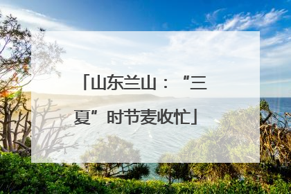 山东兰山：“三夏”时节麦收忙