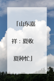 山东嘉祥：夏收夏种忙