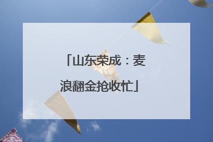 山东荣成：麦浪翻金抢收忙