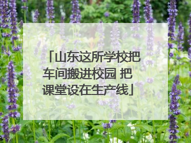 山东这所学校把车间搬进校园 把课堂设在生产线