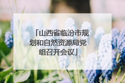 山西省临汾市规划和自然资源局党组召开会议