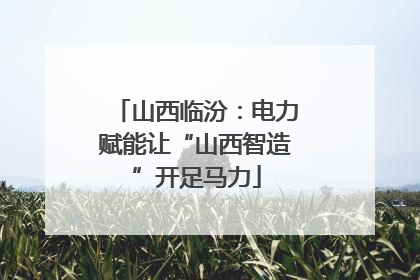 山西临汾：电力赋能让“山西智造”开足马力