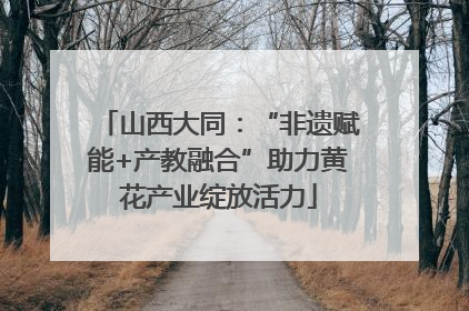 山西大同：“非遗赋能+产教融合”助力黄花产业绽放活力
