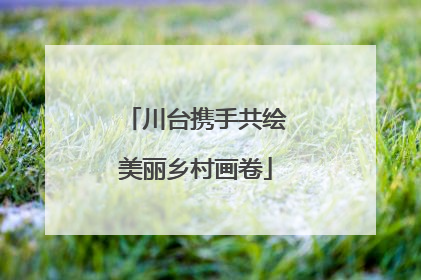 川台携手共绘美丽乡村画卷