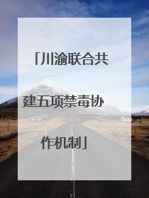 川渝联合共建五项禁毒协作机制