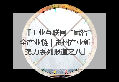 工业互联网“赋智”全产业链｜贵州产业新势力系列报道之八