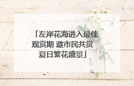 左岸花海进入最佳观赏期 邀市民共赏夏日繁花盛景