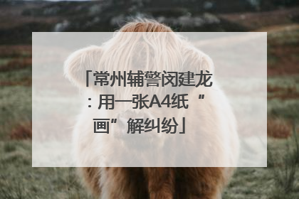 常州辅警闵建龙：用一张A4纸“画”解纠纷