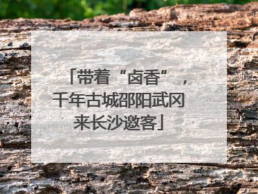 带着“卤香”，千年古城邵阳武冈来长沙邀客