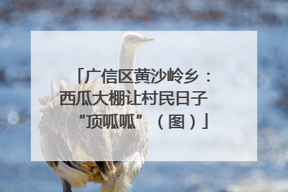 广信区黄沙岭乡：西瓜大棚让村民日子“顶呱呱”（图）