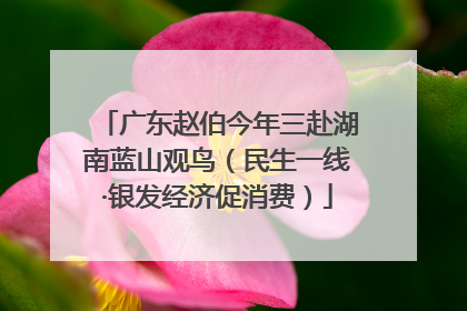 广东赵伯今年三赴湖南蓝山观鸟（民生一线·银发经济促消费）