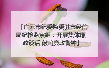 广元市纪委监委驻市经信局纪检监察组：开展集体廉政谈话 敲响廉政警钟
