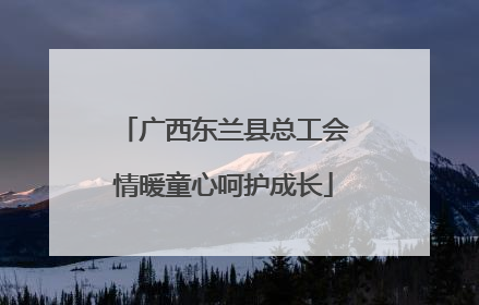 广西东兰县总工会情暖童心呵护成长