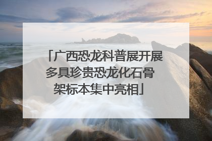 广西恐龙科普展开展 多具珍贵恐龙化石骨架标本集中亮相