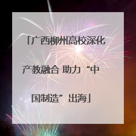 广西柳州高校深化产教融合 助力“中国制造”出海