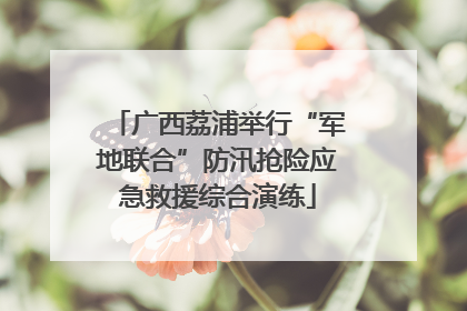 广西荔浦举行“军地联合”防汛抢险应急救援综合演练