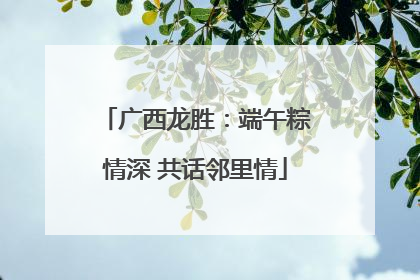 广西龙胜：端午粽情深 共话邻里情