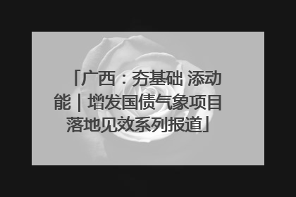 广西：夯基础 添动能｜增发国债气象项目落地见效系列报道