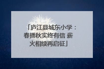 庐江县城东小学：春播秋实终有信 薪火相续再启征