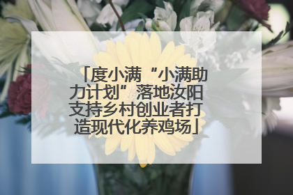 度小满“小满助力计划”落地汝阳支持乡村创业者打造现代化养鸡场