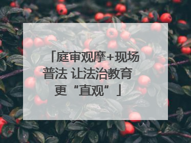 庭审观摩+现场普法 让法治教育更“直观”