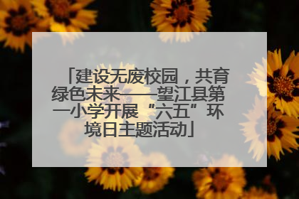 建设无废校园，共育绿色未来——望江县第一小学开展“六五”环境日主题活动