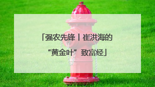 强农先锋丨崔洪海的“黄金叶”致富经