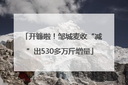 开镰啦！邹城麦收“减”出530多万斤增量