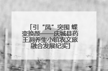 引“凤”突围 蝶变换颜——庆城县药王洞养生小镇农文旅融合发展纪实
