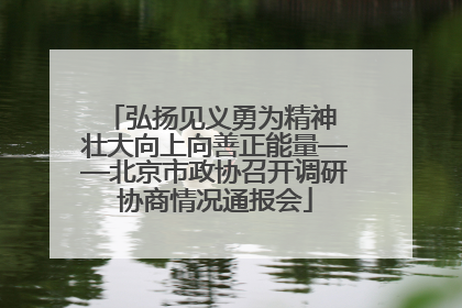 弘扬见义勇为精神 壮大向上向善正能量——北京市政协召开调研协商情况通报会