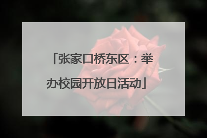 张家口桥东区：举办校园开放日活动