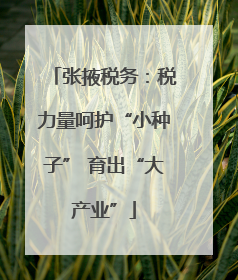 张掖税务：税力量呵护“小种子” 育出“大产业”