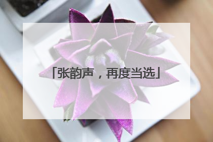 张韵声，再度当选
