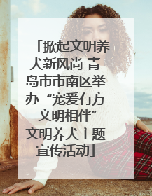 掀起文明养犬新风尚 青岛市市南区举办“宠爱有方 文明相伴”文明养犬主题宣传活动