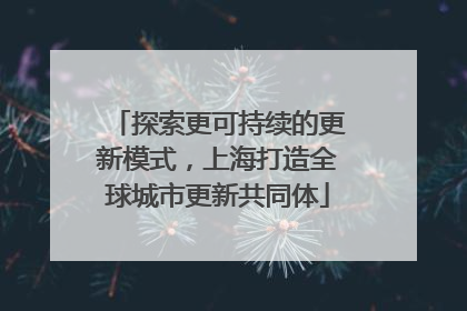 探索更可持续的更新模式，上海打造全球城市更新共同体
