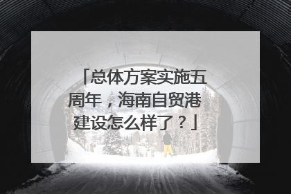 总体方案实施五周年，海南自贸港建设怎么样了？
