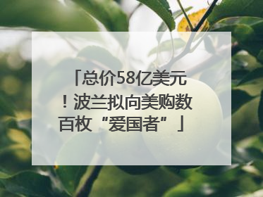 总价58亿美元！波兰拟向美购数百枚“爱国者”
