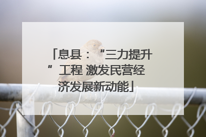 息县：“三力提升”工程 激发民营经济发展新动能