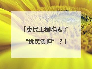 惠民工程咋成了“扰民负担”？