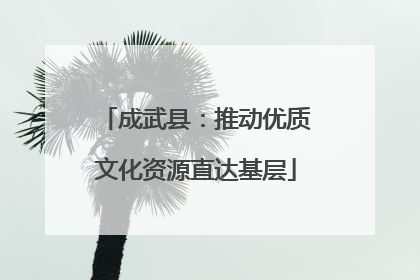 成武县：推动优质文化资源直达基层